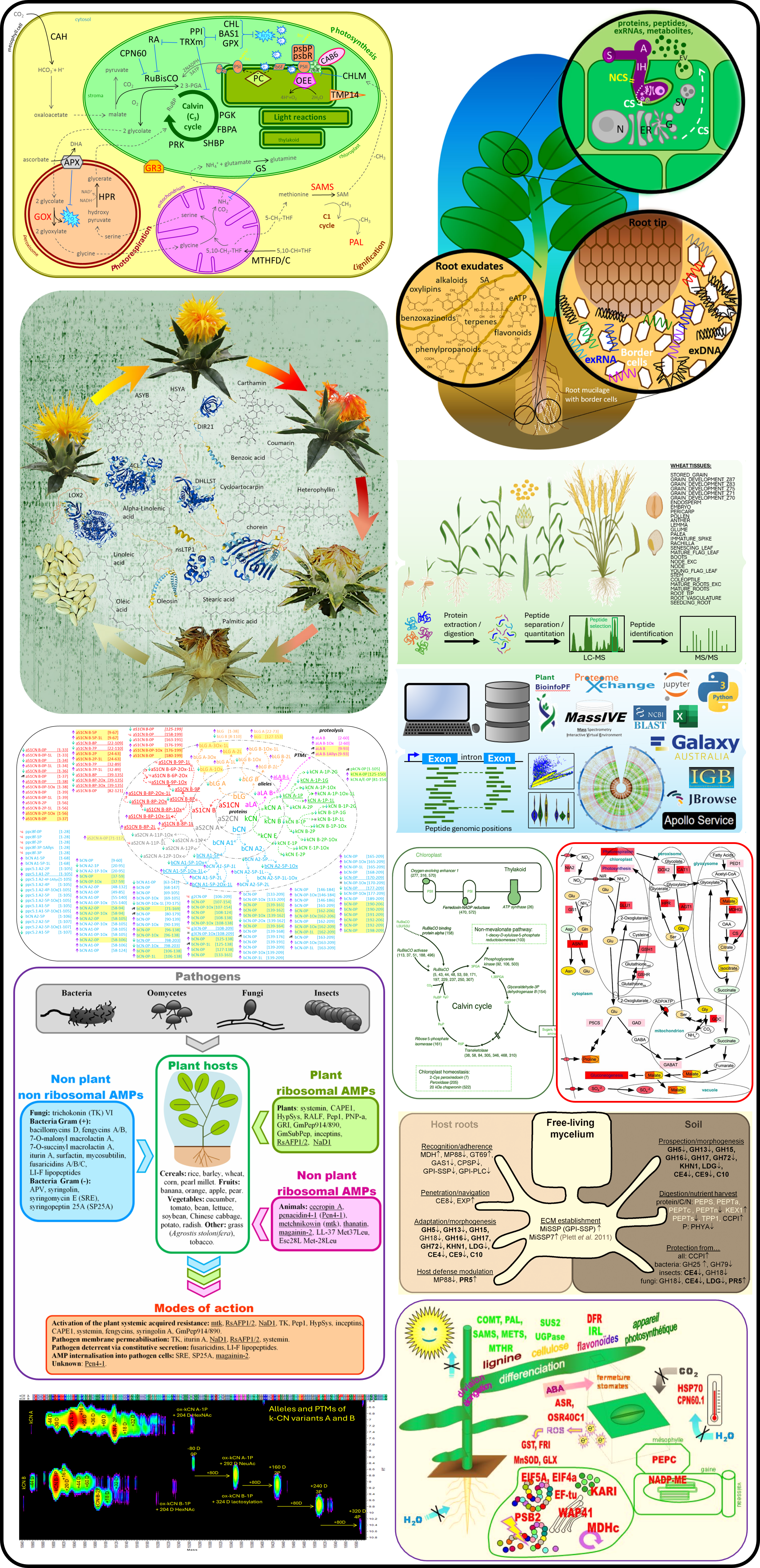 metabolomics icons
