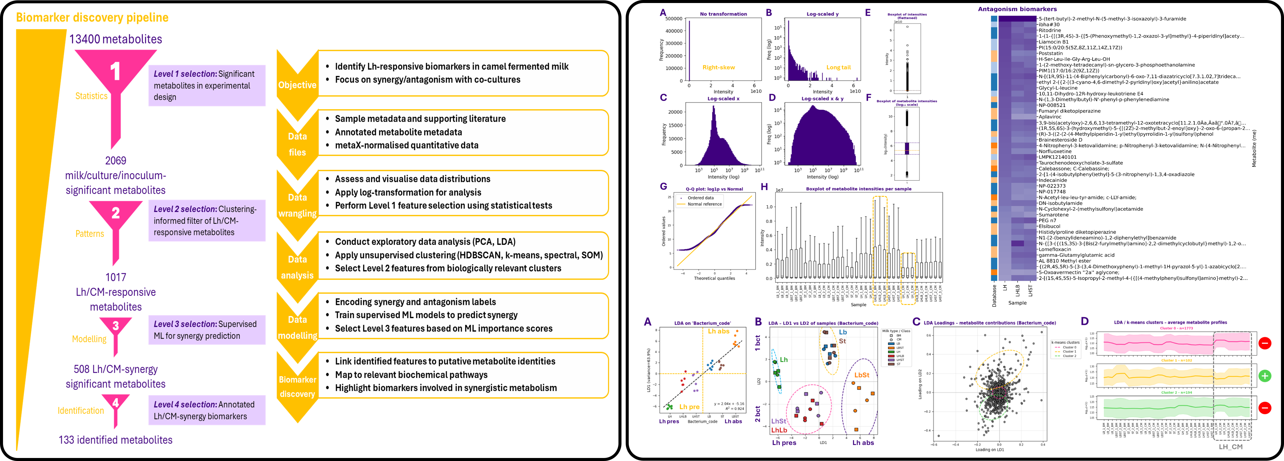 camel milk study overview