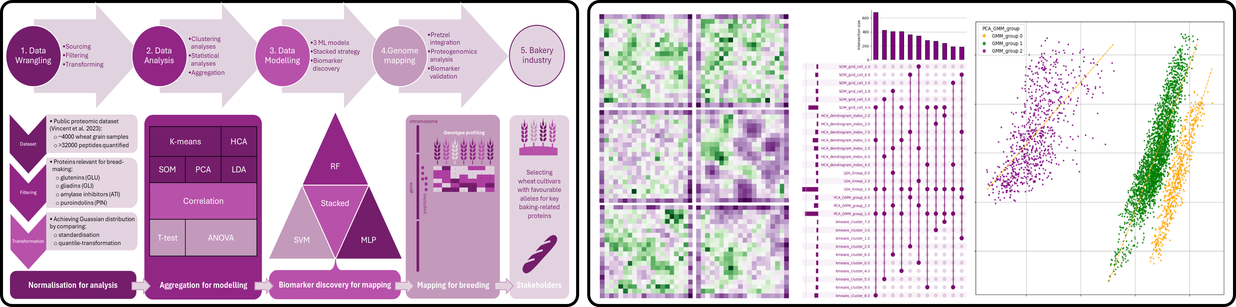 wheat proteomics biomarker charts