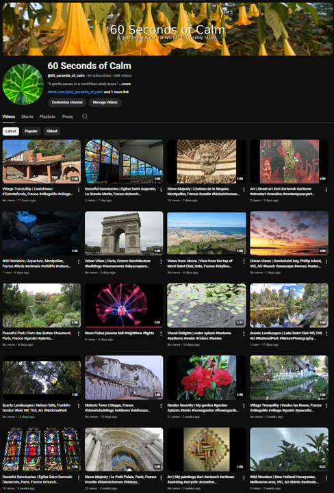 view of my youtube channel